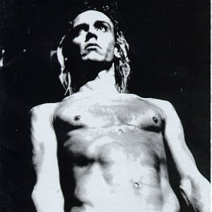 The Iggy Pop Tribute: We Will Fall