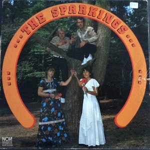 The Sparkings