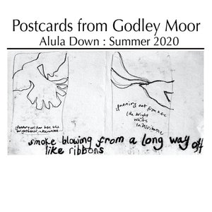 Postcards from Godley Moor, Summer 2020