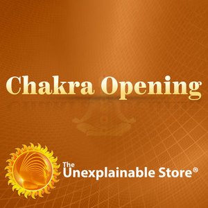 Avatar de The Unexplainable Store