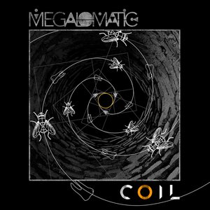 Coil