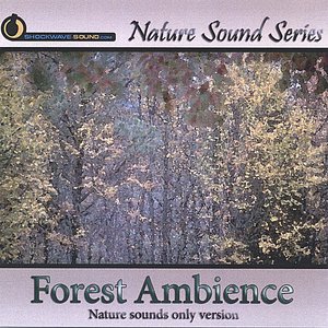 Forest Ambience (Nature sounds only version)