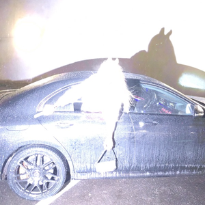 Praise the Farm - Single