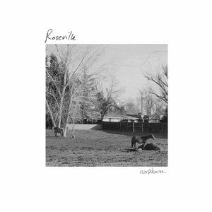 Workhorse - Single