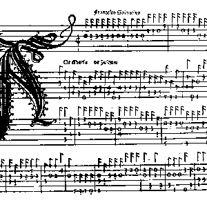 Francesco Spinacino photo provided by Last.fm