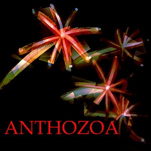 Anthozoa