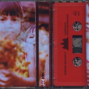 Cambodian Field Recordings