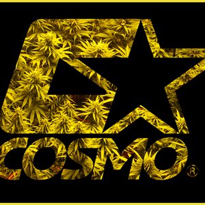 Cosmo Gang 的头像