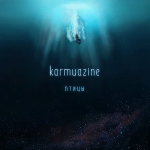 Птицы