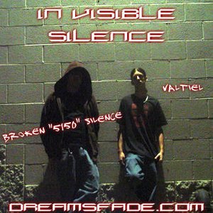 Image for 'In Visible Silence'
