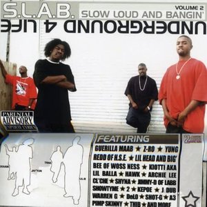 S.L.A.B. Volume 2