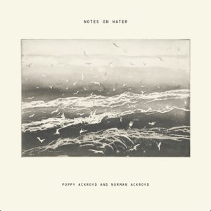 Notes On Water