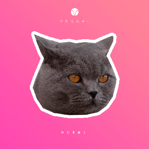 Новые - Single