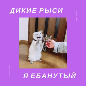 Я ебанутый