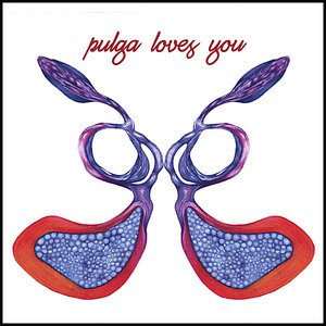 Pulga Loves You