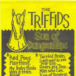 Son of Dungeon Tape