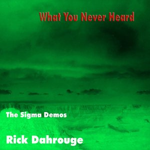 What You Never Heard