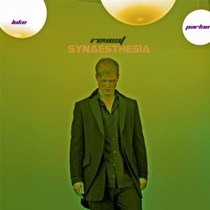 Revisit Synaesthesia