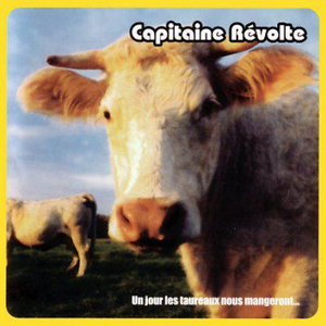 Un jour les taureaux nous mangeront cover