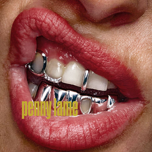 Artwork for Penny Lame