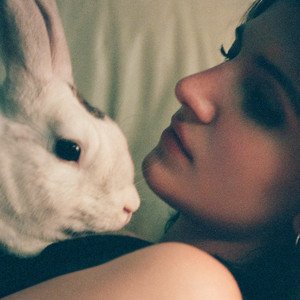 Bunny - Single