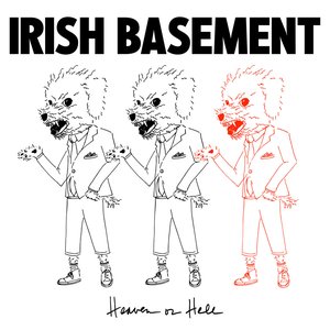 Irish Basement - Waterfalls