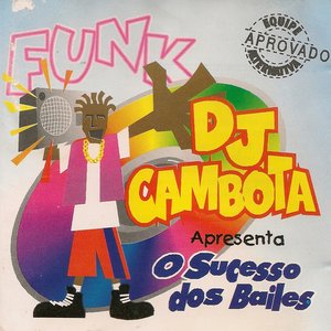 O Sucesso dos Bailes