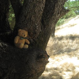 Аватар для Massi