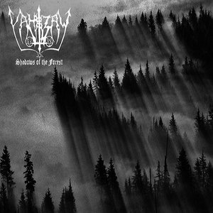 Shadows of the Forest