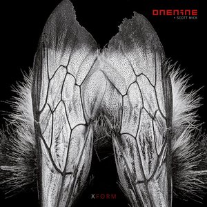 XFORM