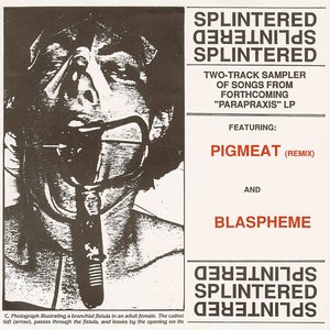 Pigmeat (Remix)