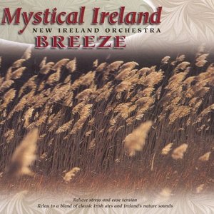 Аватар для New Ireland Orchestra