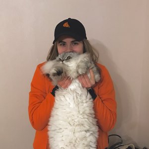 лиззка 的头像