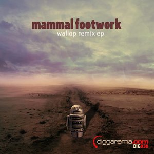 Mammal Footwork 的头像