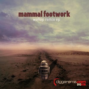 Avatar for Mammal Footwork