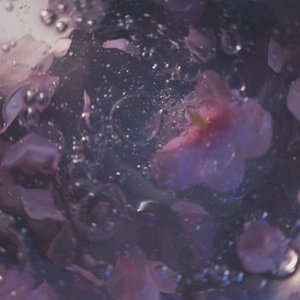春