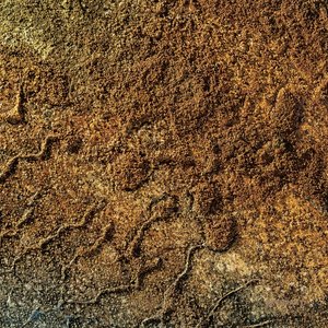 Velvet Desert Music, Vol. 2