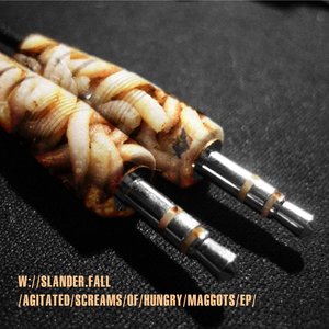 Agitated screams of hungry maggots EP