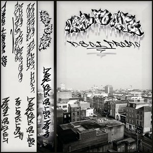 D.S.O.L. Promo