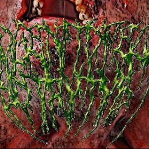 Imagem de 'BucoGenitoFecal Botrytys'