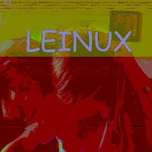 Bild für 'Leinux'
