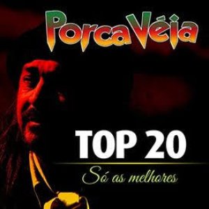 Top 20 - Só As Melhores