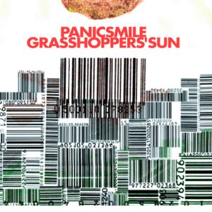 Grasshoppers Sun