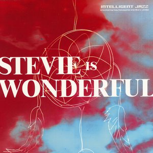 Stevie Is Wonderful