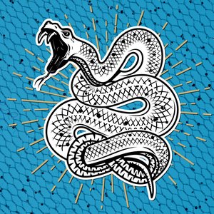 Snakes