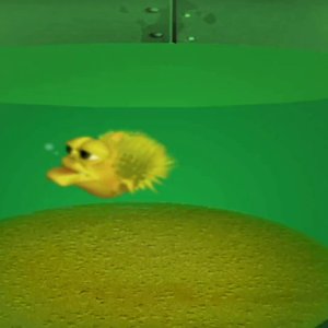 Avatar for Peixe Amarelo