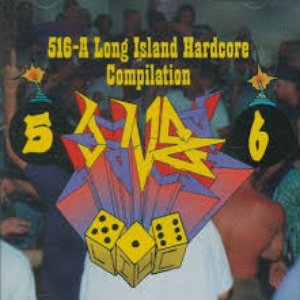 516 (A Long Island Hardcore Compilation)