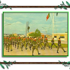 “Boinas Verdes”的封面