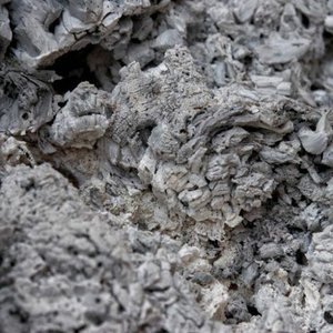 Ashes (Demo) [Demo] - Single
