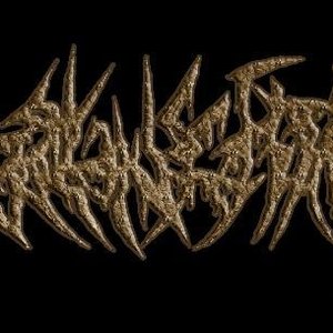 Fecal Insertion 的头像